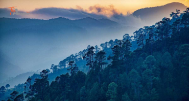 Almora Tour Package