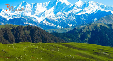 Dayara Bugyal Trek